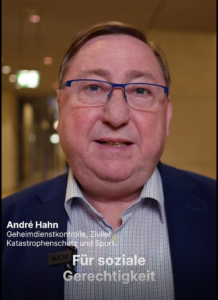 DIE LINKE – Für Dich im Bundestag